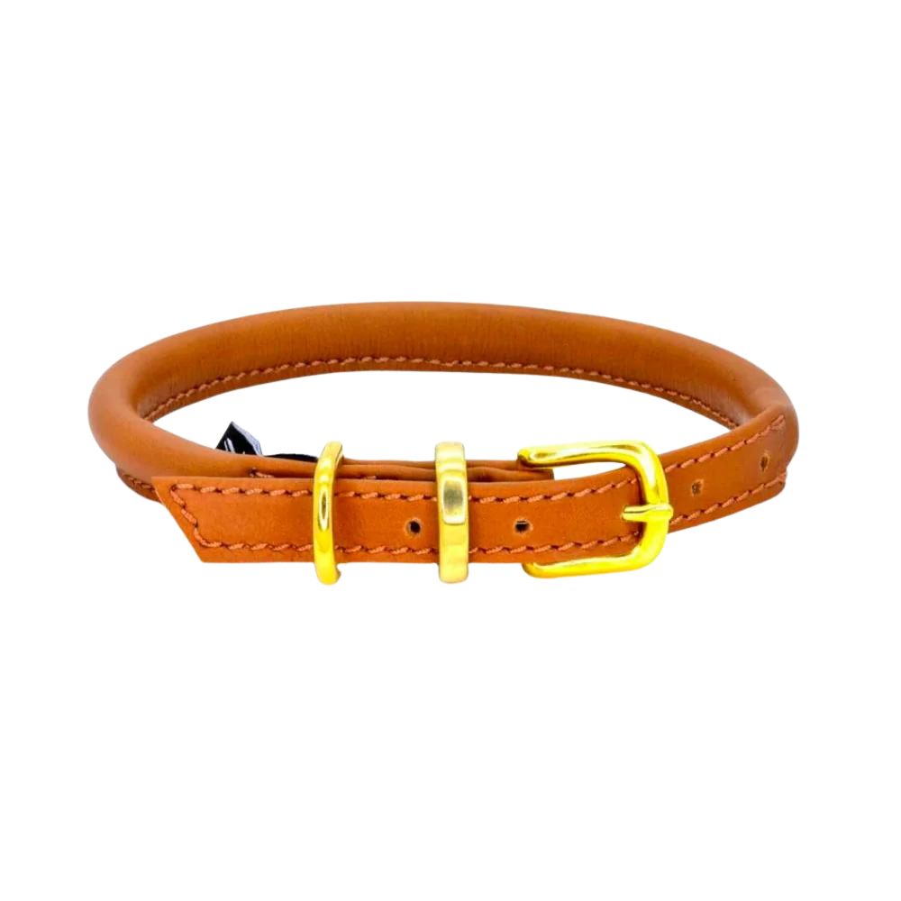 Rolled Leather Dog Collar