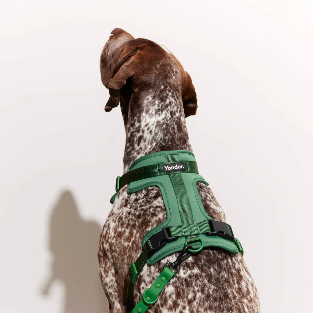 Yonder Dog Harness