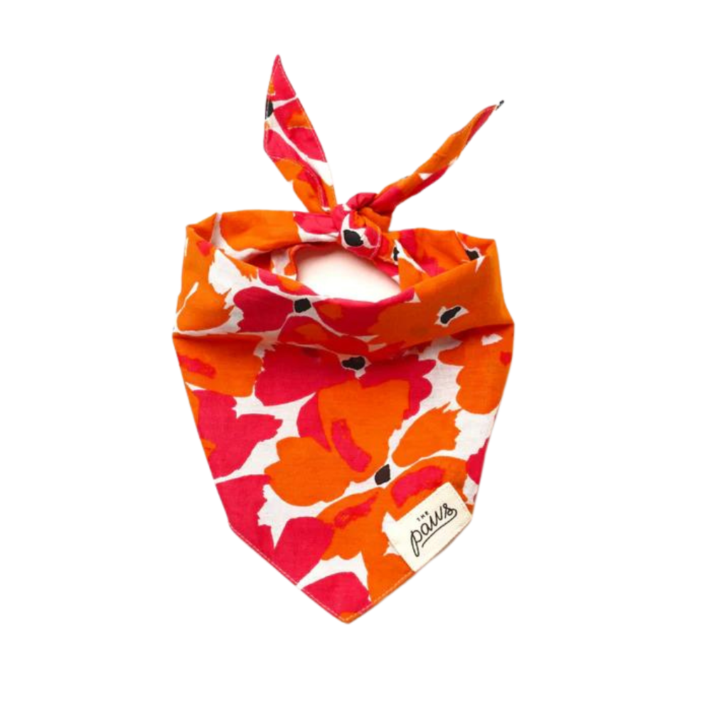 Fruit Punch Dog Bandana