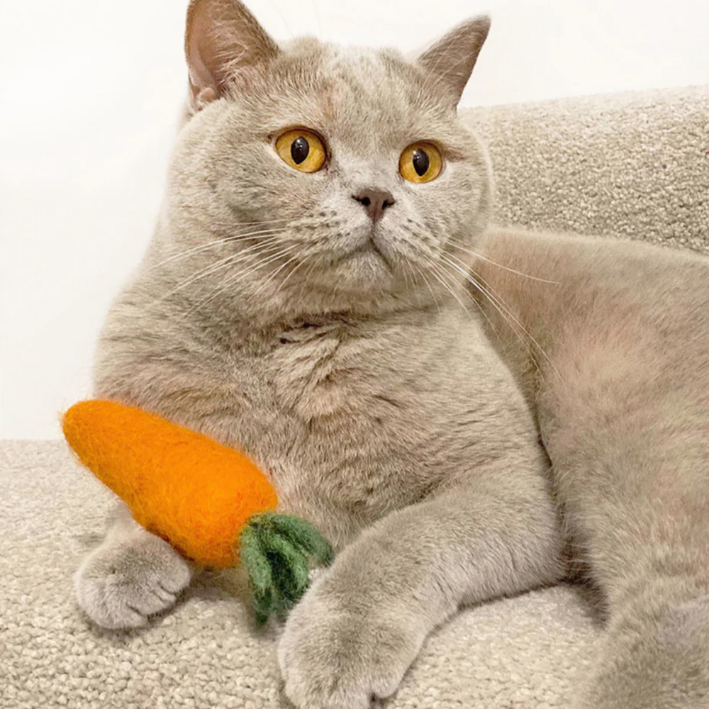 Carrot Catnip Cat Toy