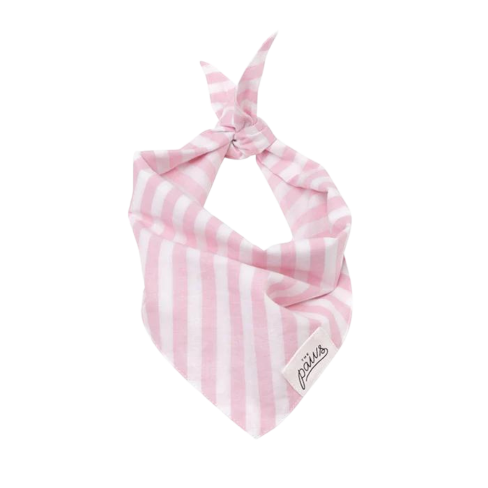 Cabana Blush Pink Stripe Dog Bandana