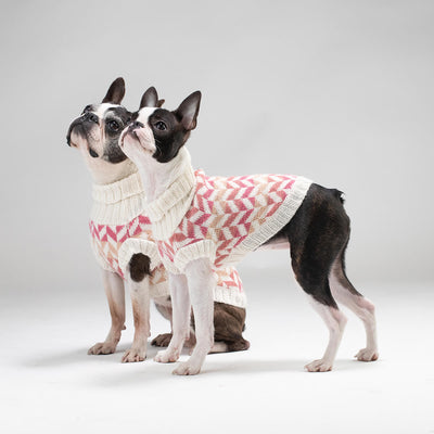 Alpaca Dog Sweater